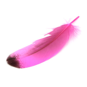フェザー：ピンク 約5〜6cm 